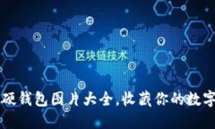 高清冷钱包与硬钱包图片大全，收藏你的数字资