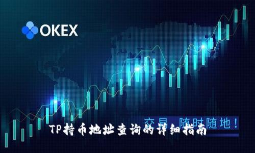 TP持币地址查询的详细指南